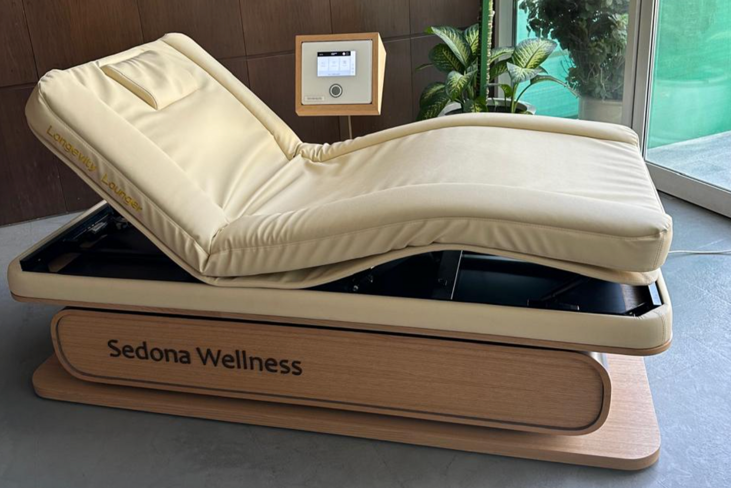 PEMF 长寿床躺椅