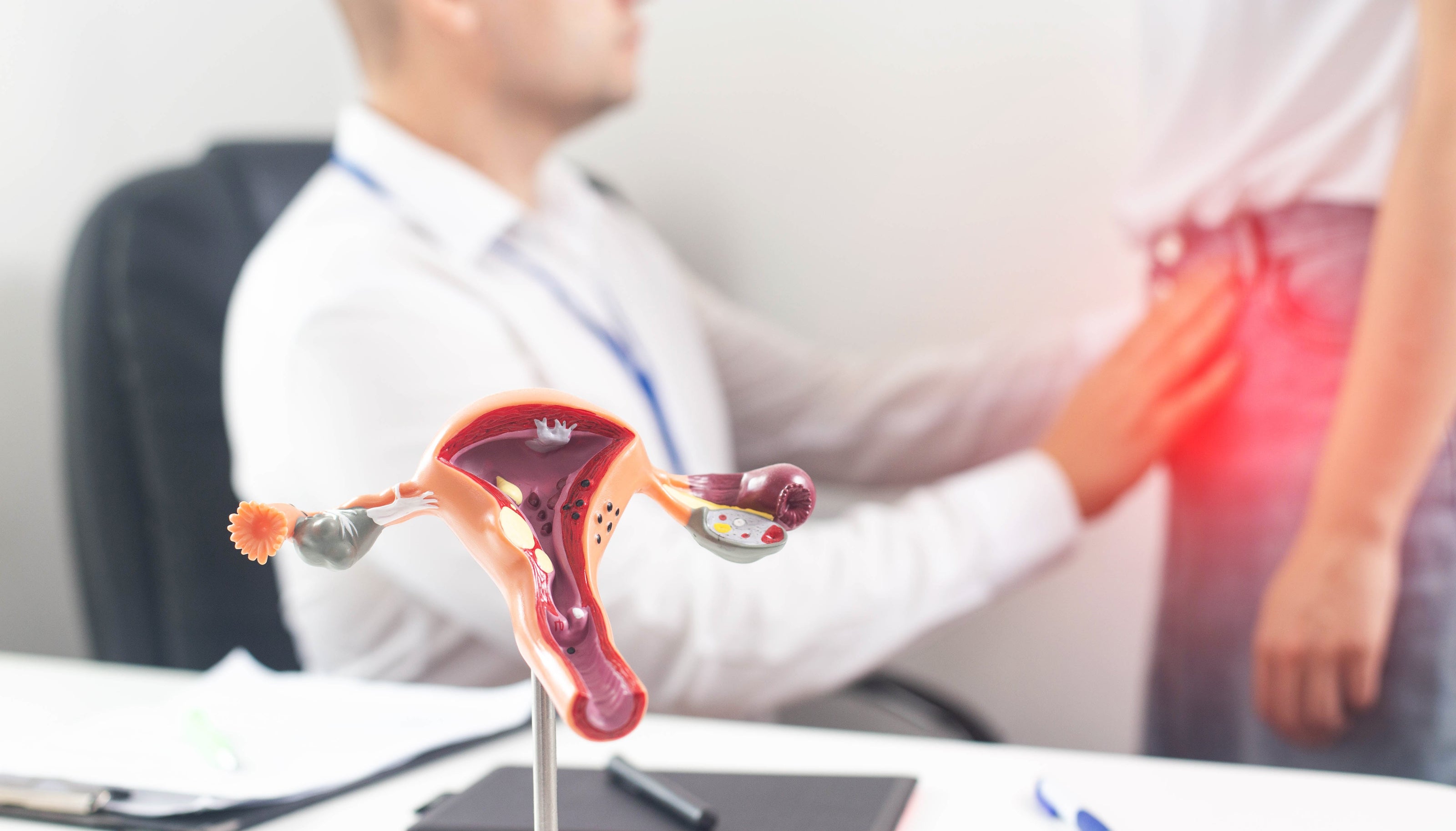 PEMF and Endometritis/Endometriosis